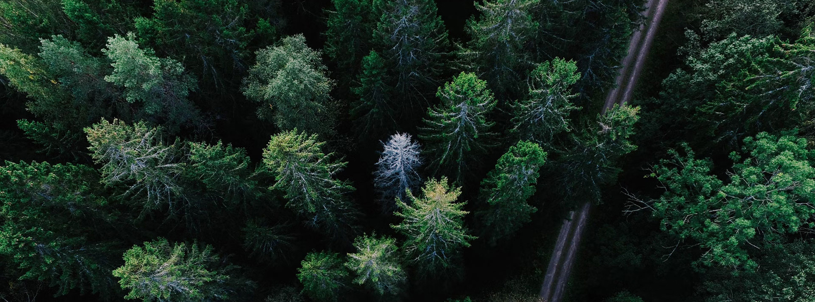 강소상이방직기술(그룹)유한회사
